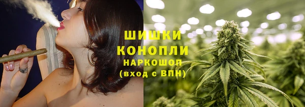 PSILOCYBIN Богородицк